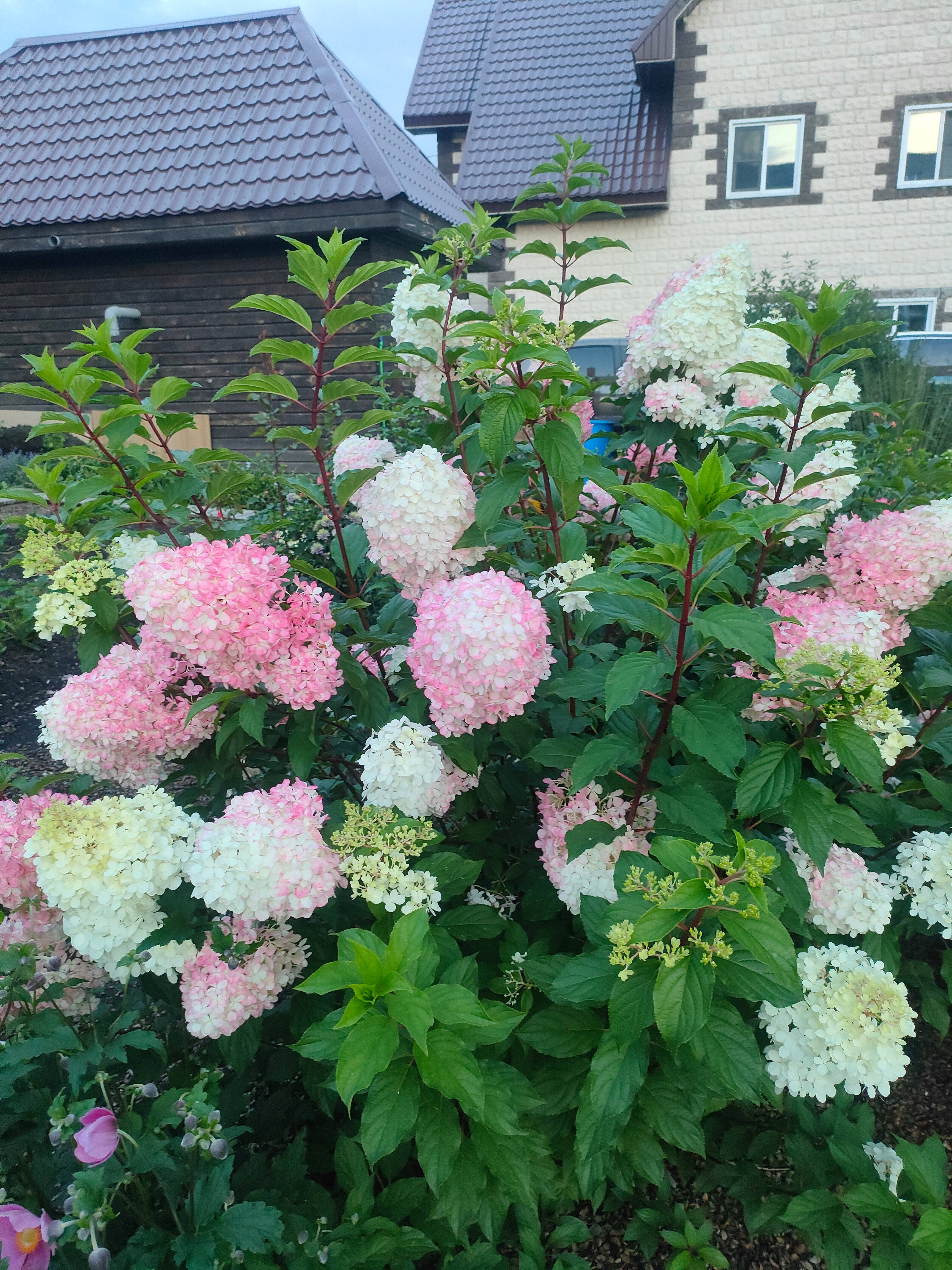 Фото Хижина дяди Саши