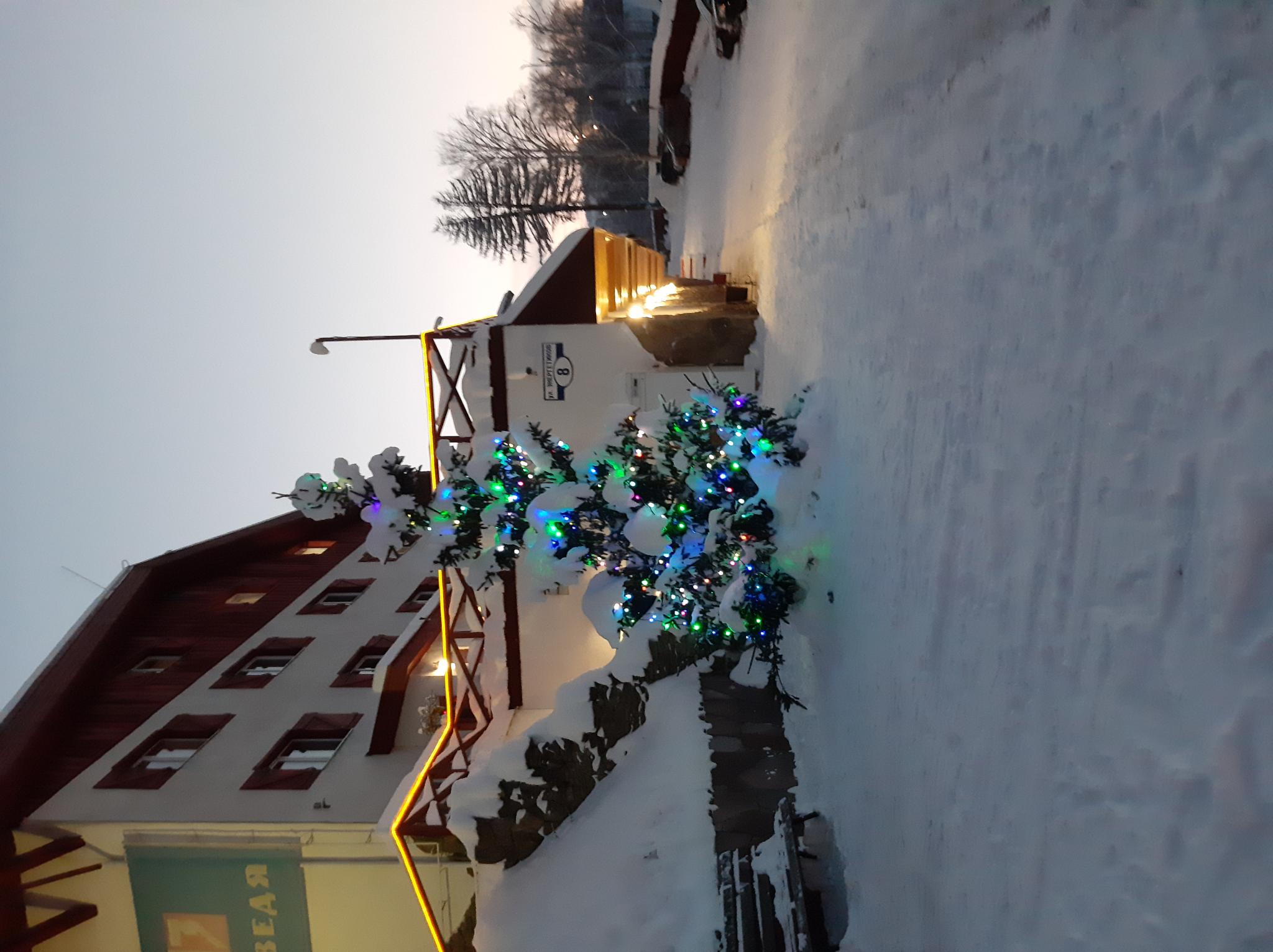 Фото 33 Медведя