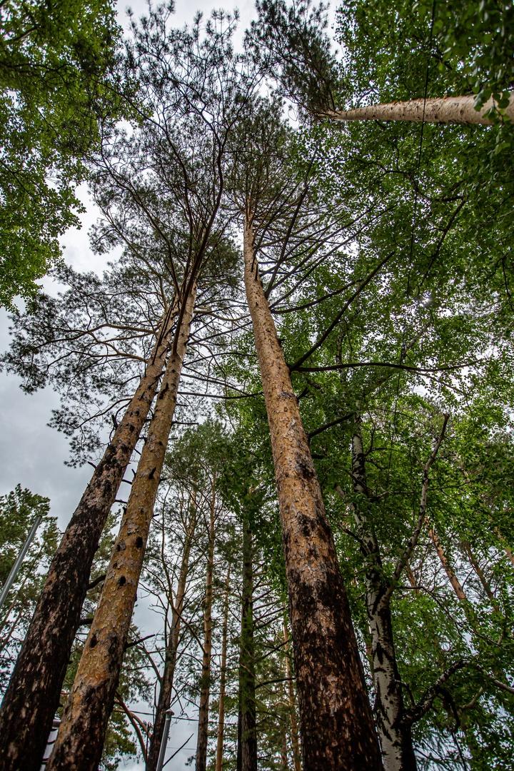 Фото Место силы