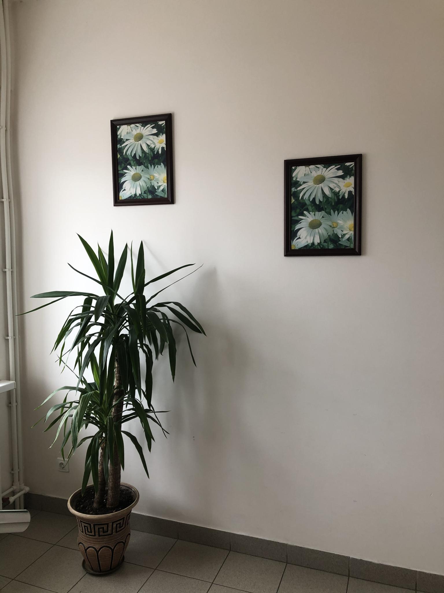 Фото На Валге