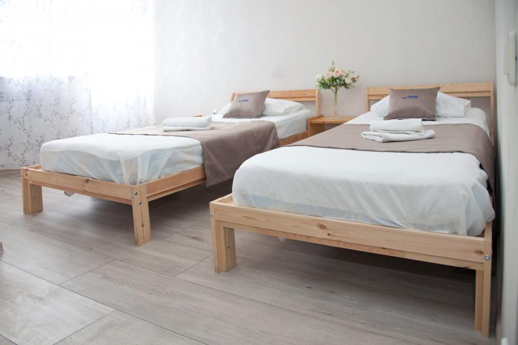 Фото Гиацинт