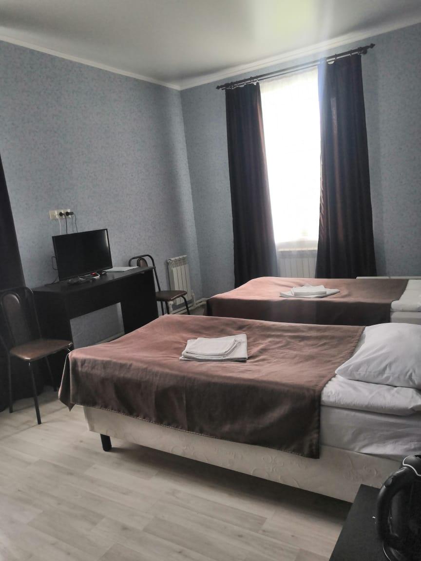 Фото Базилик