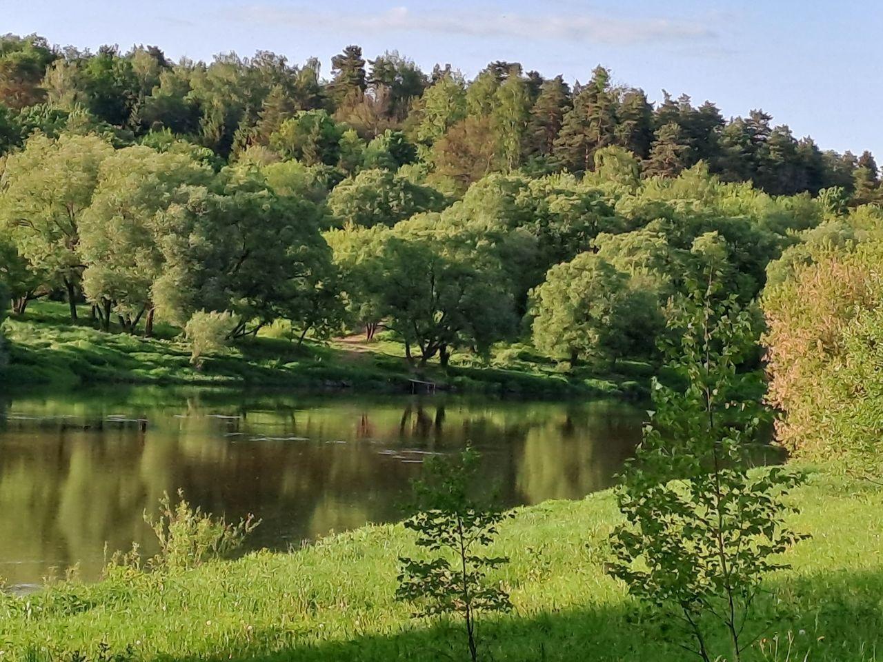 Фото Домики на Луговом