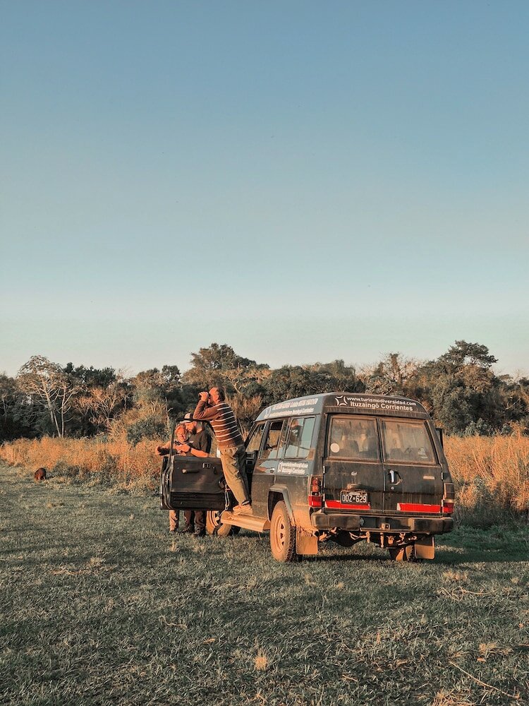 Фото Wild Wetlands Lodge