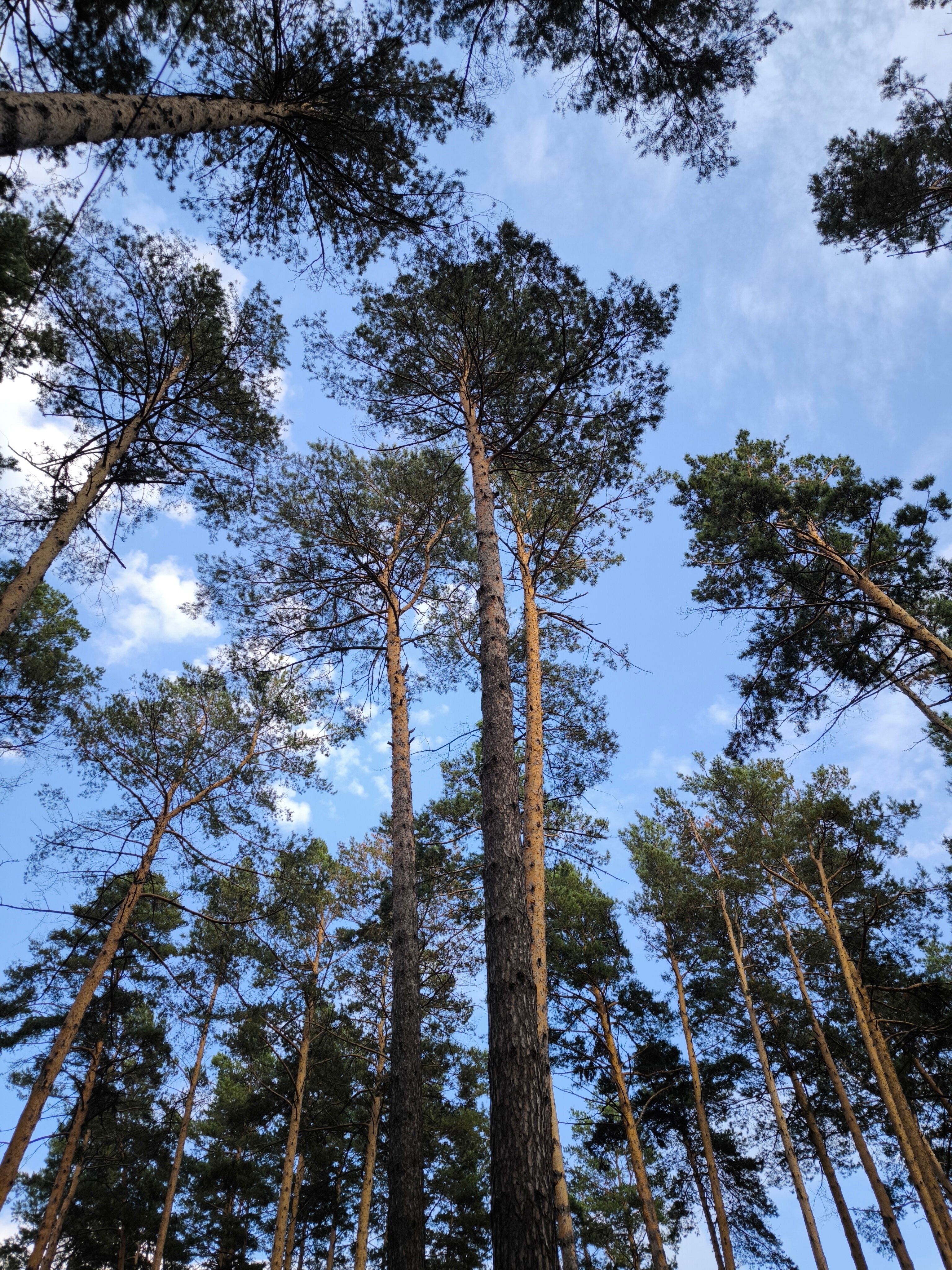 Фото Грааль