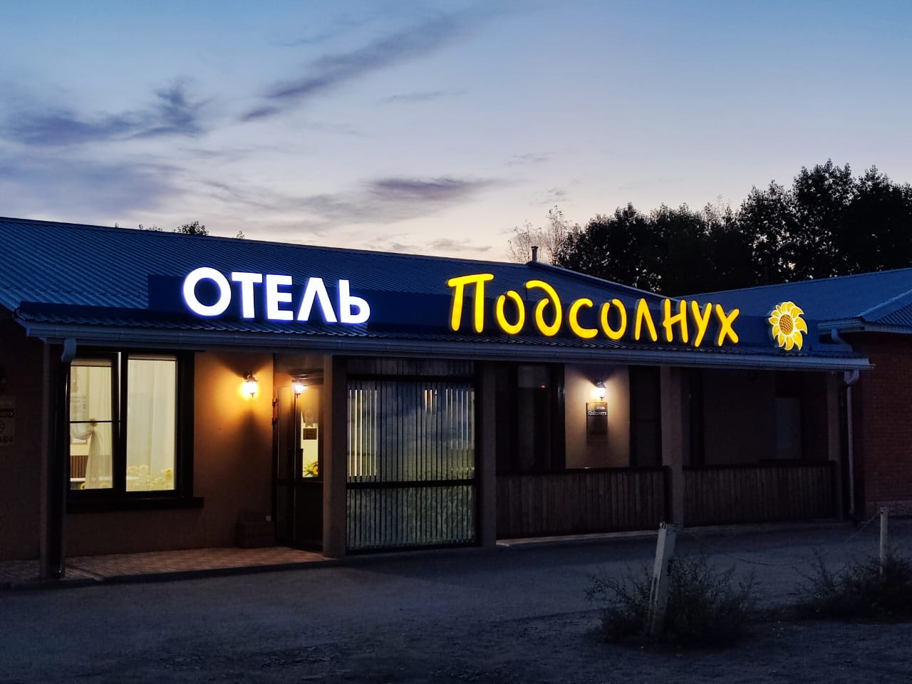 Фото Подсолнух