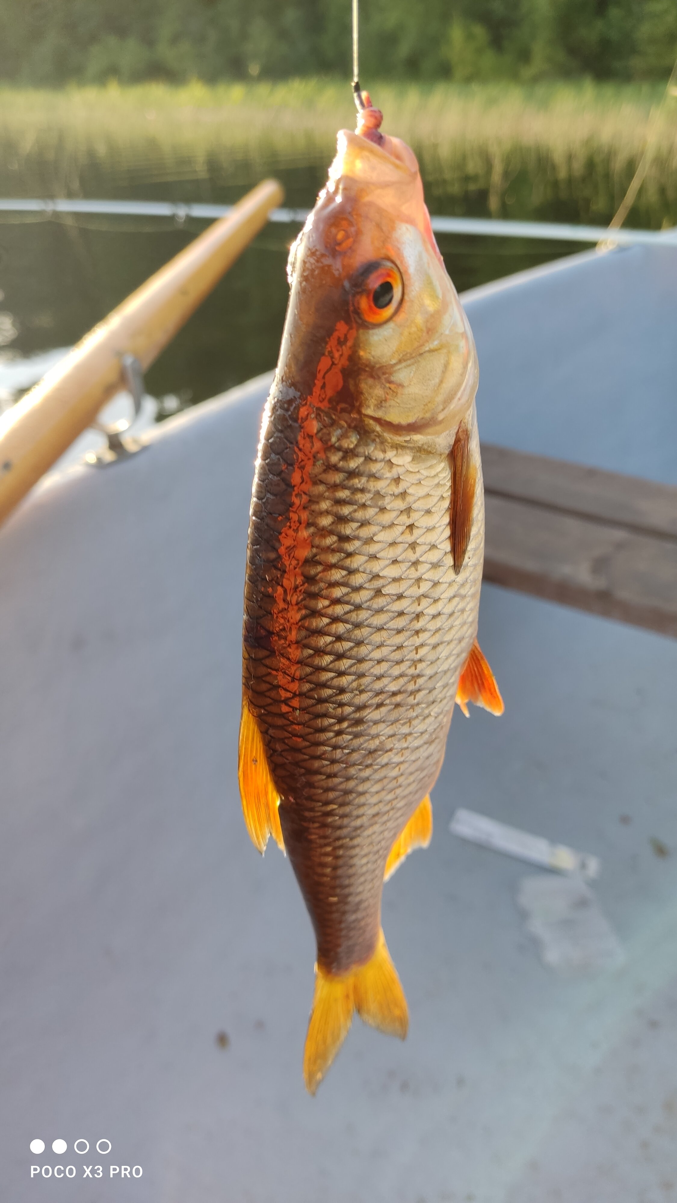 Фото Турбаза Вятиккя