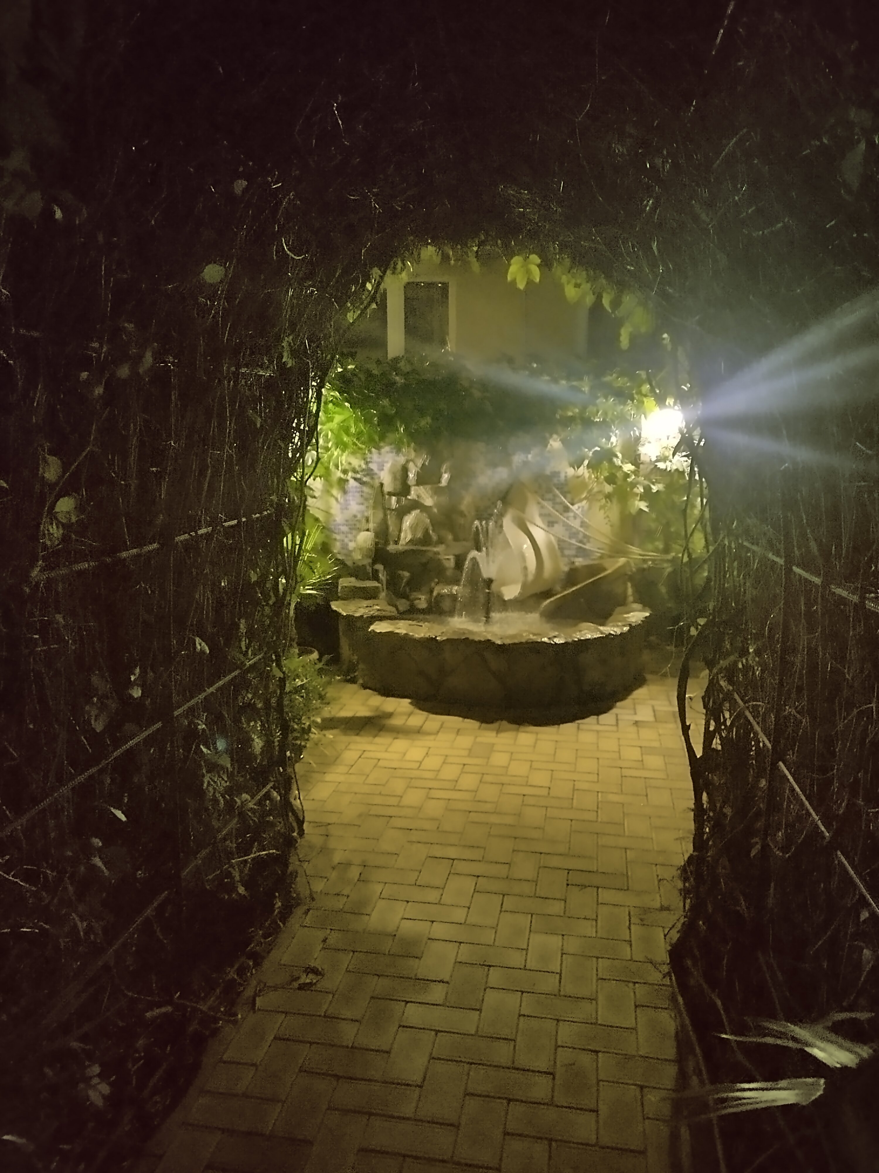 Фото Гранд-Астери