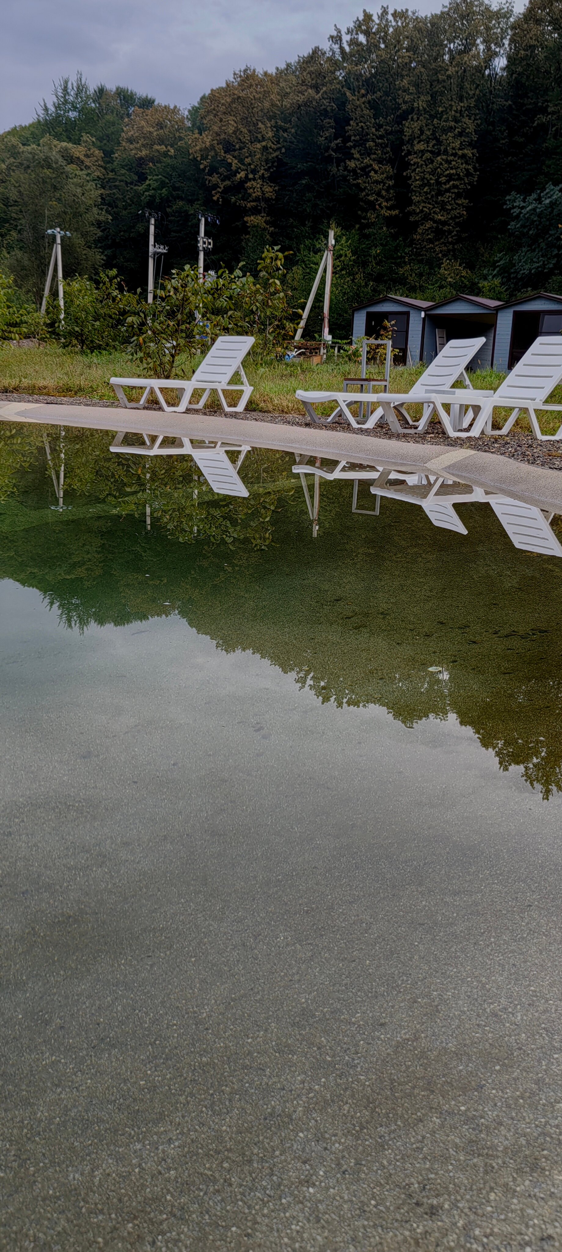 Фото Магия природы