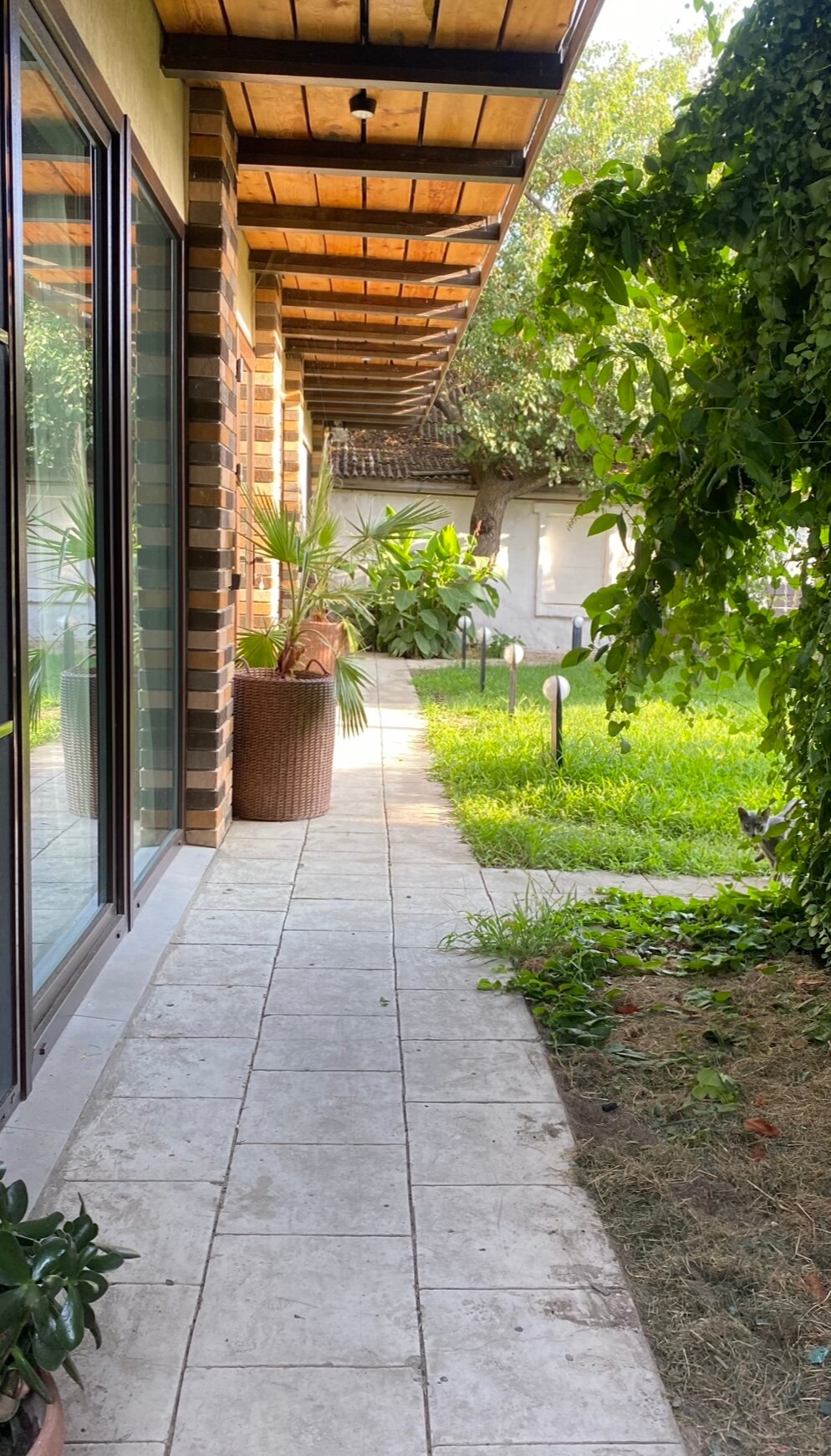 Фото Константа Вилладж