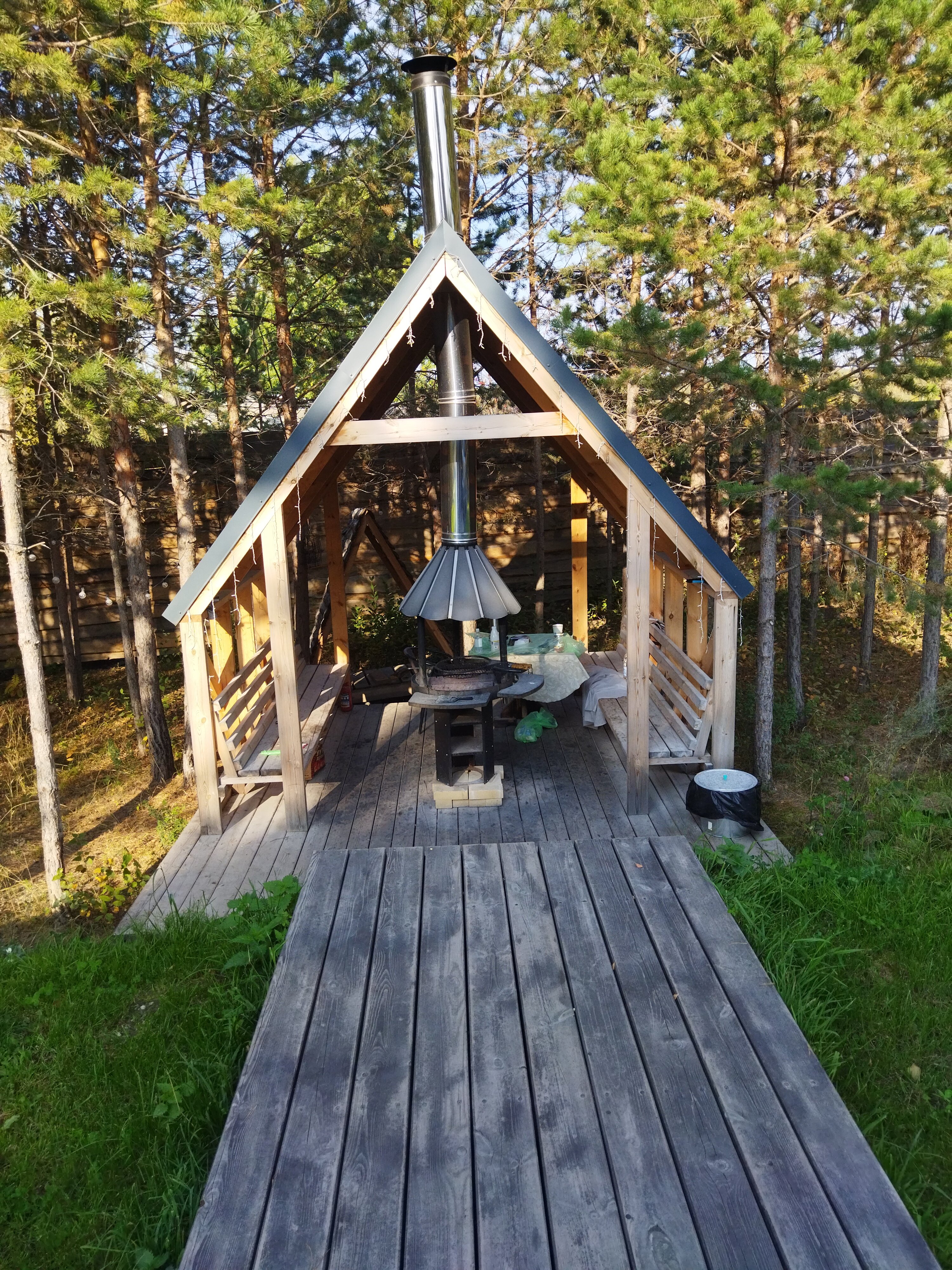 Фото Forest tale