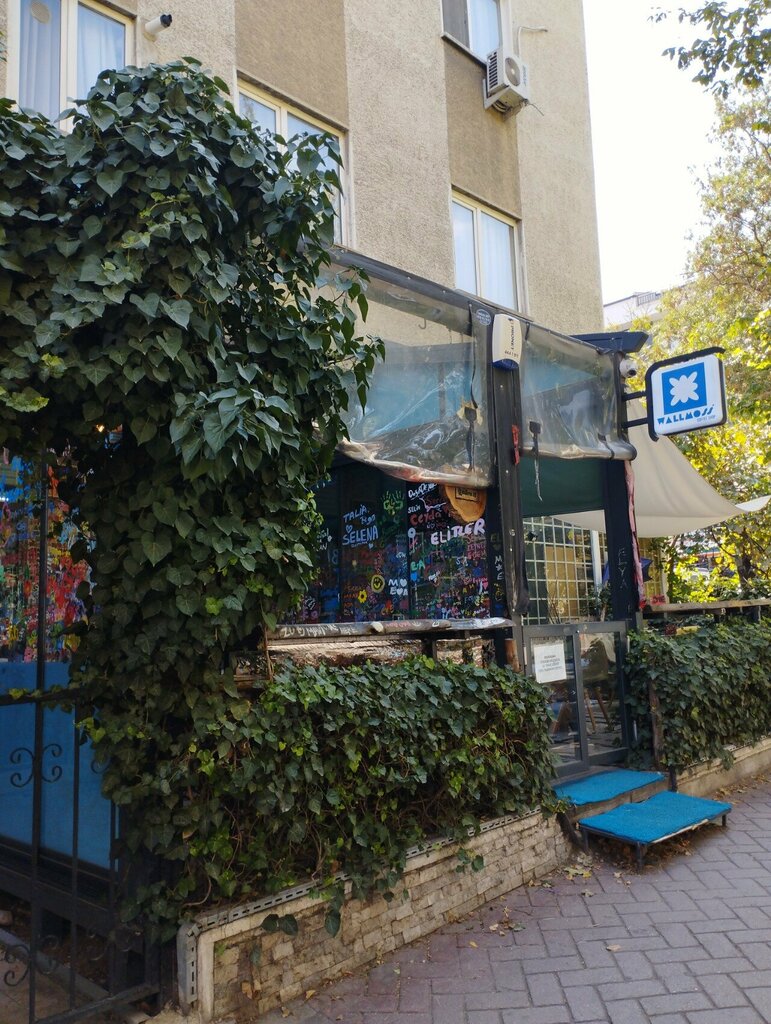 Coffee store Wallmoss, Ankara, photo