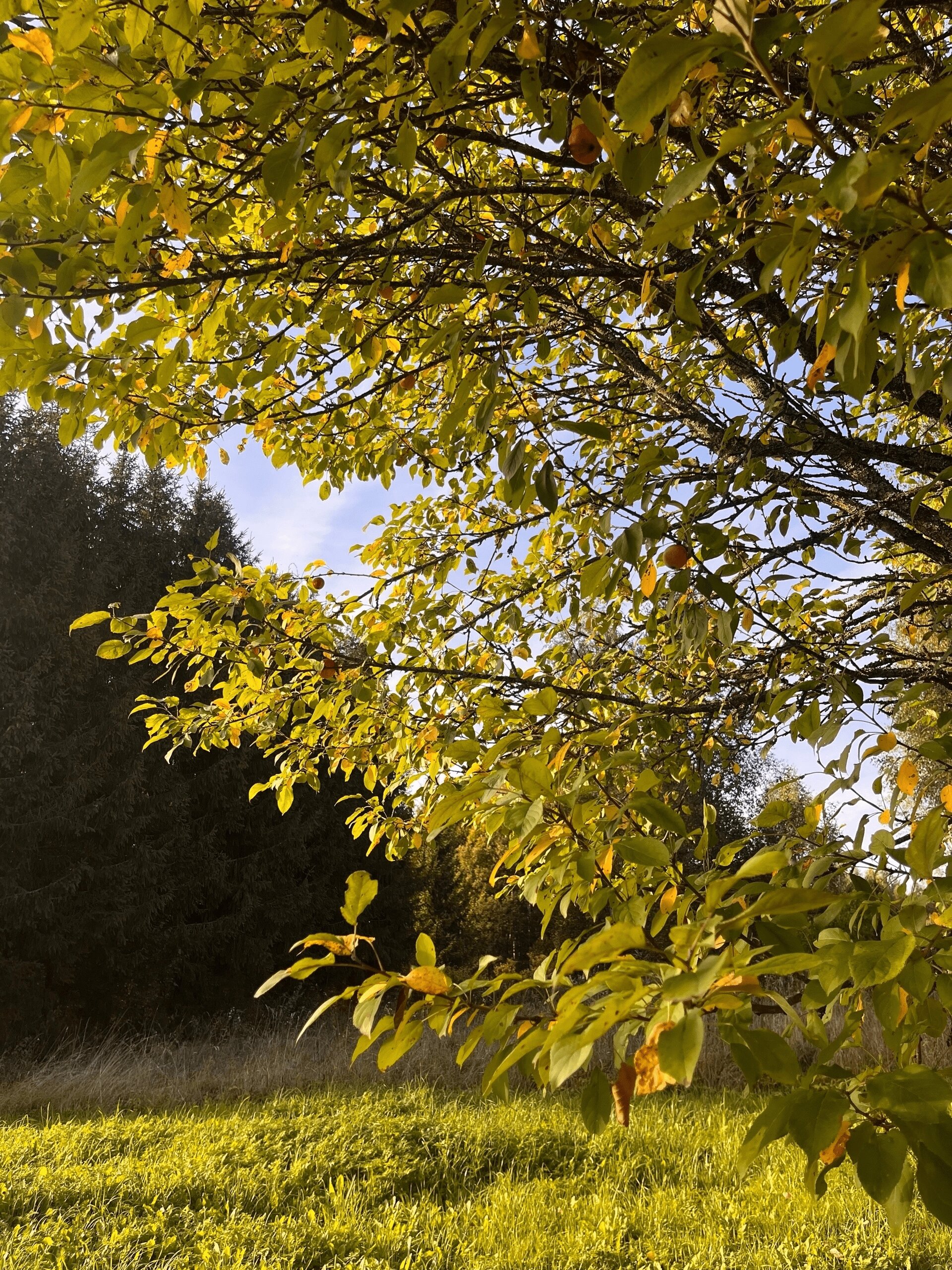 Фото Лайфклаб