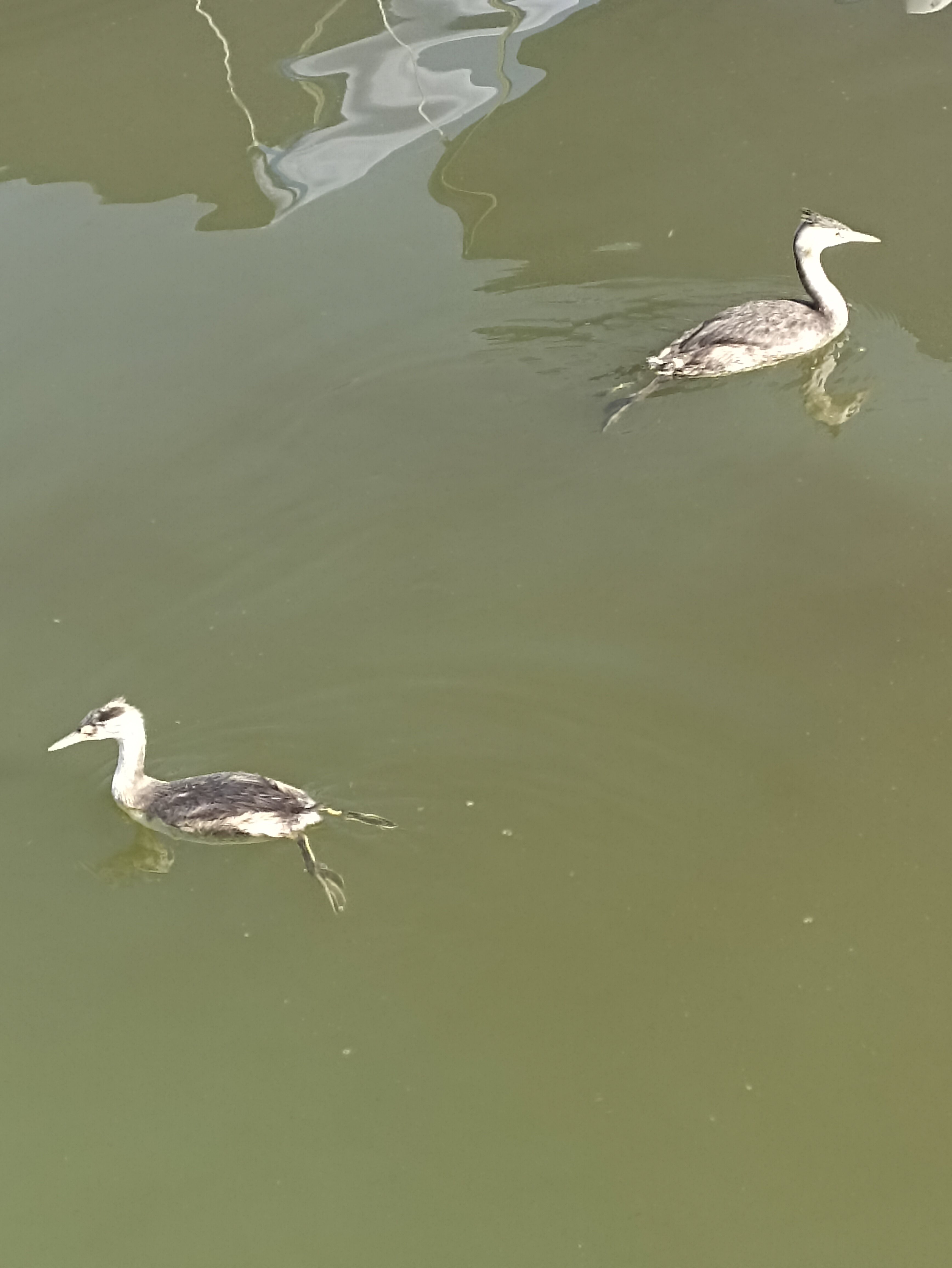 Фото Мини-гостиница на Сайдашева