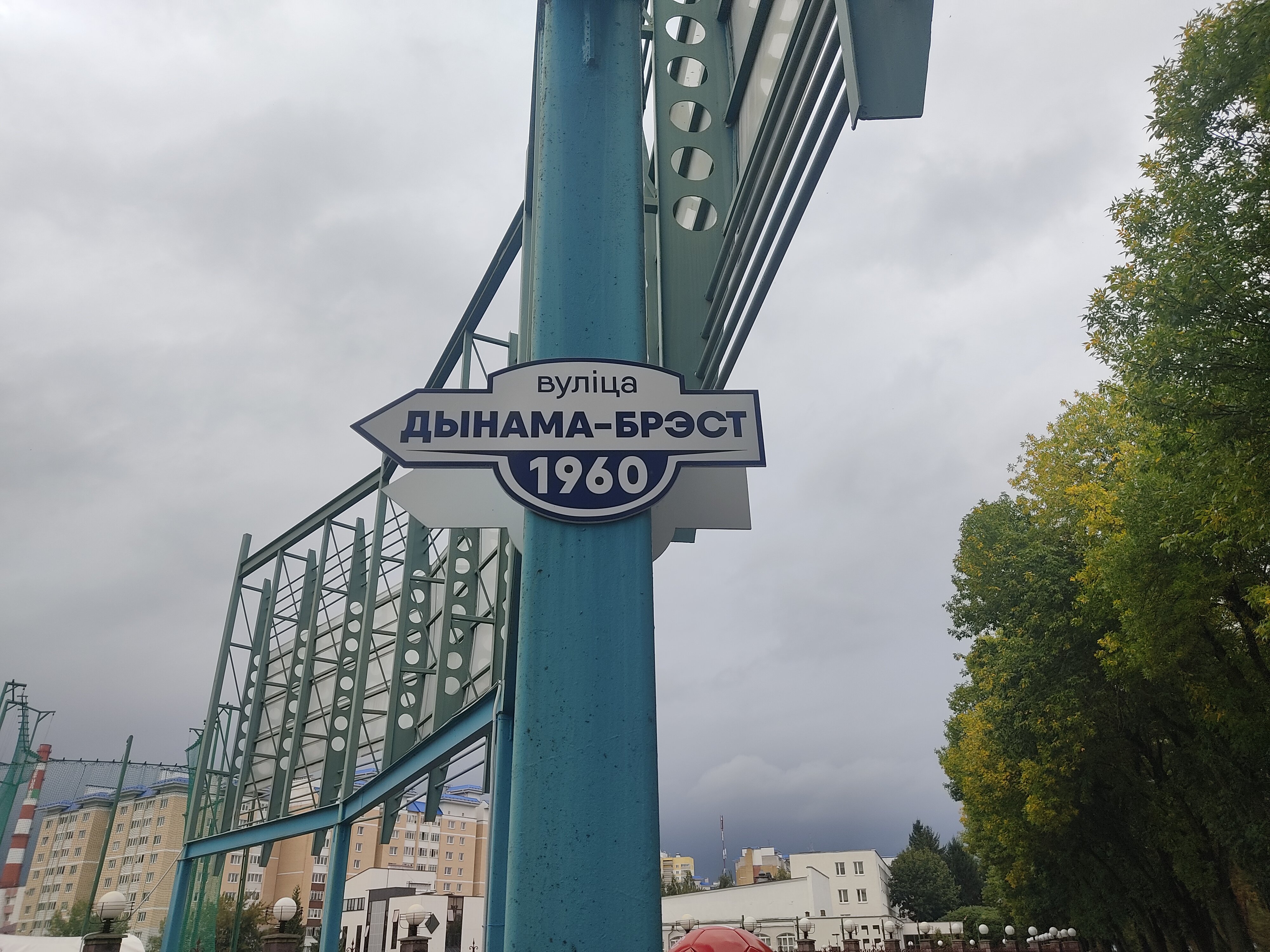 Фото Пять колец