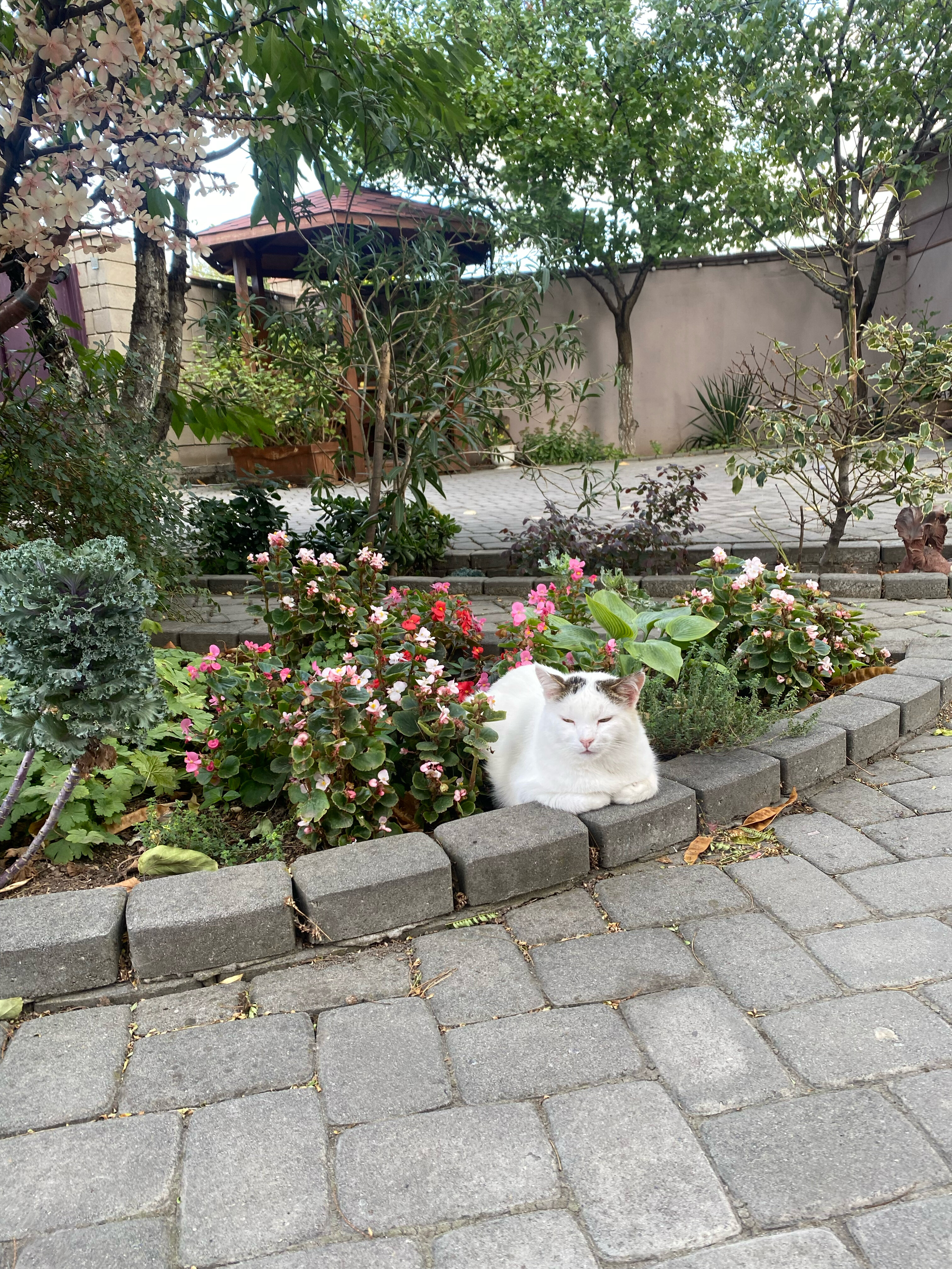 Фото Резиденция лета