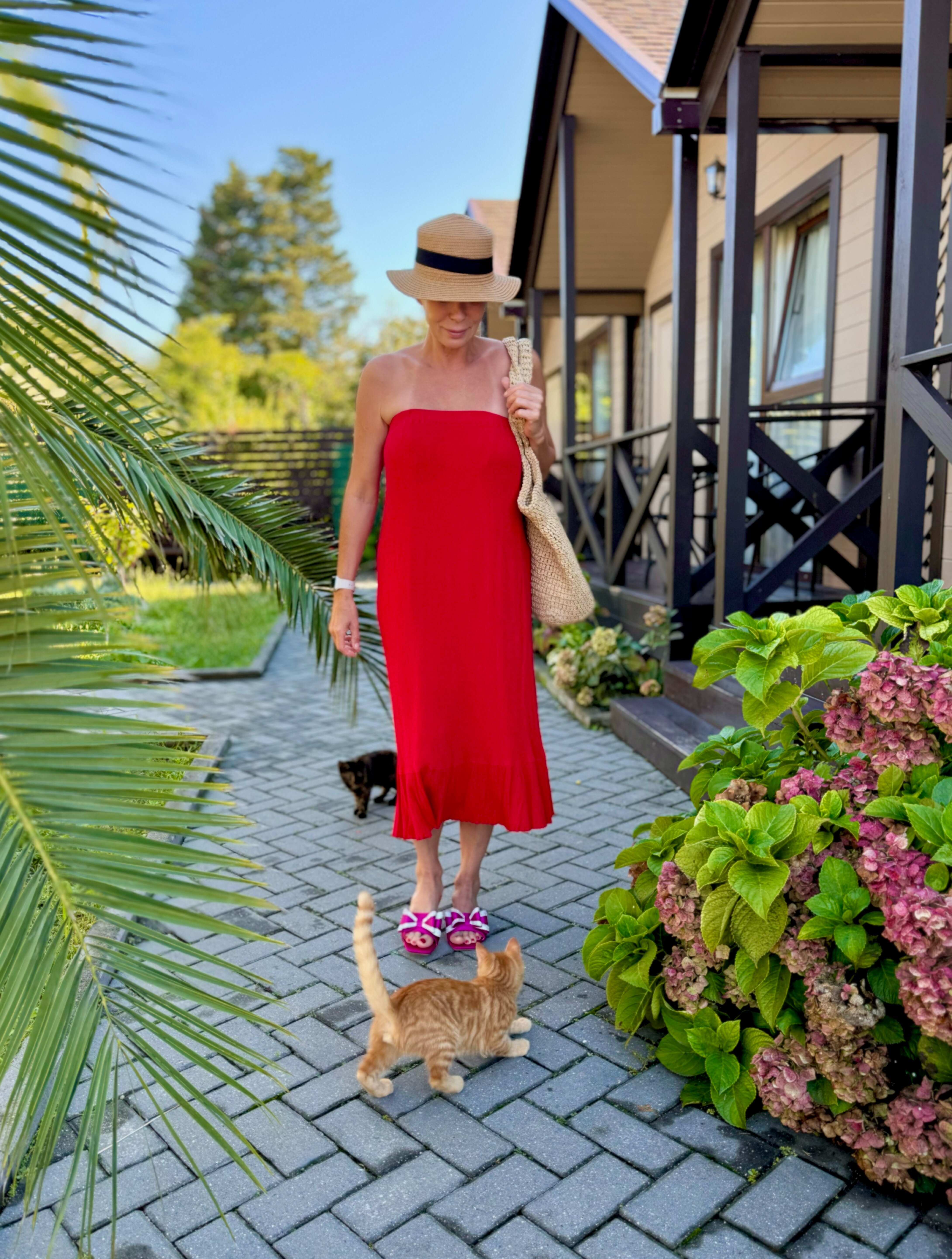 Фото Шезлонг