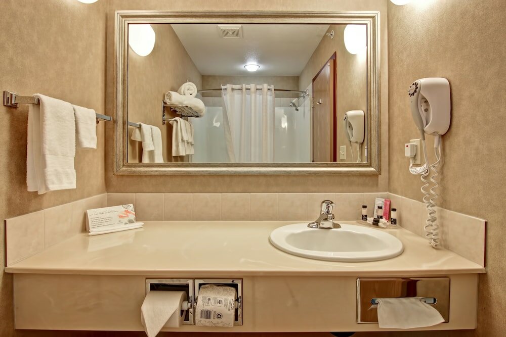 Фото Stettler Canalta