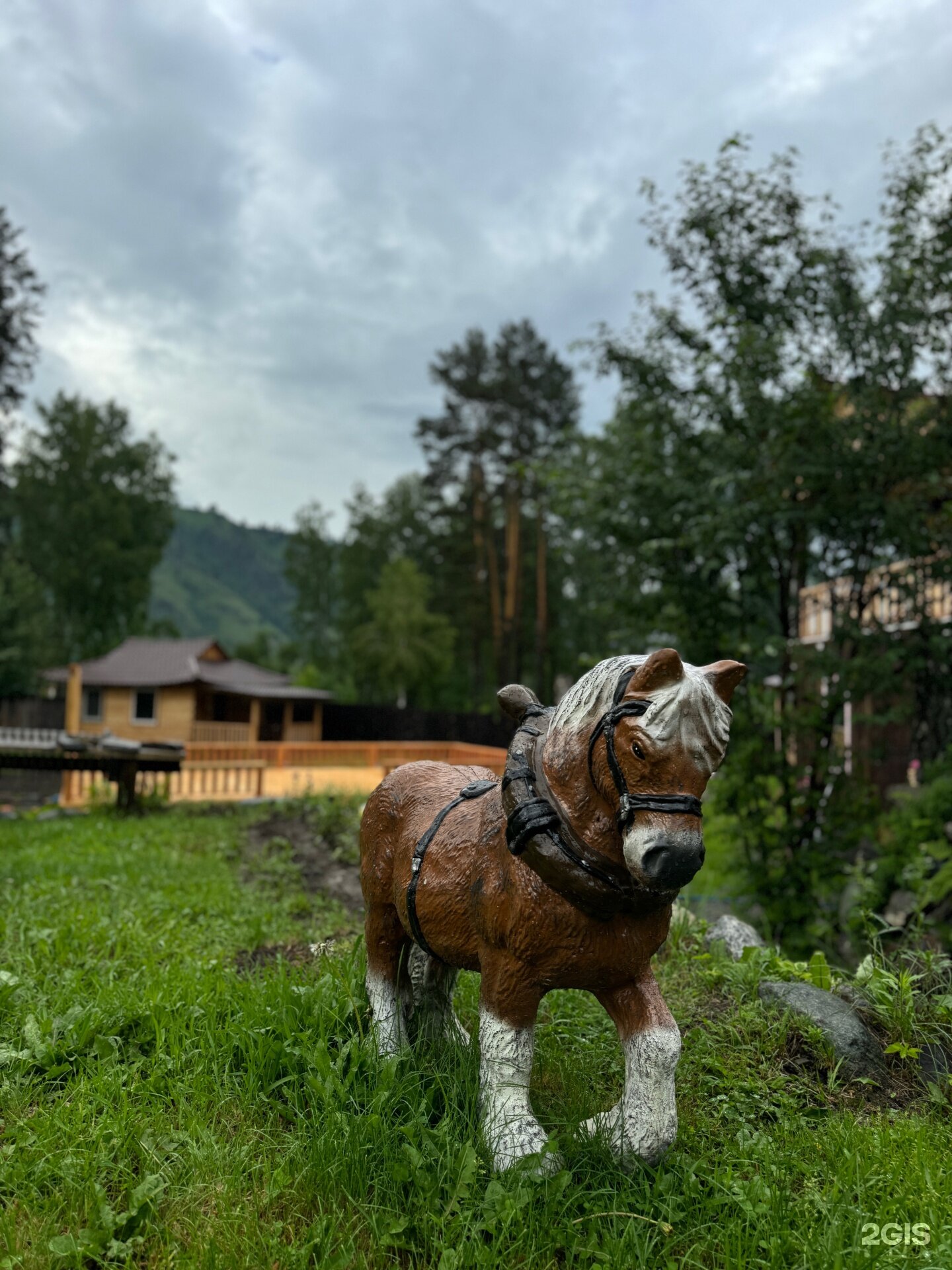 Фото Легенда Алтая