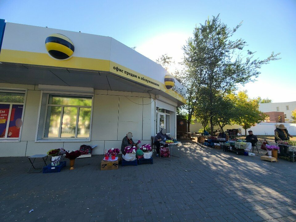 Mobile network operator beeline, Astrahan, photo