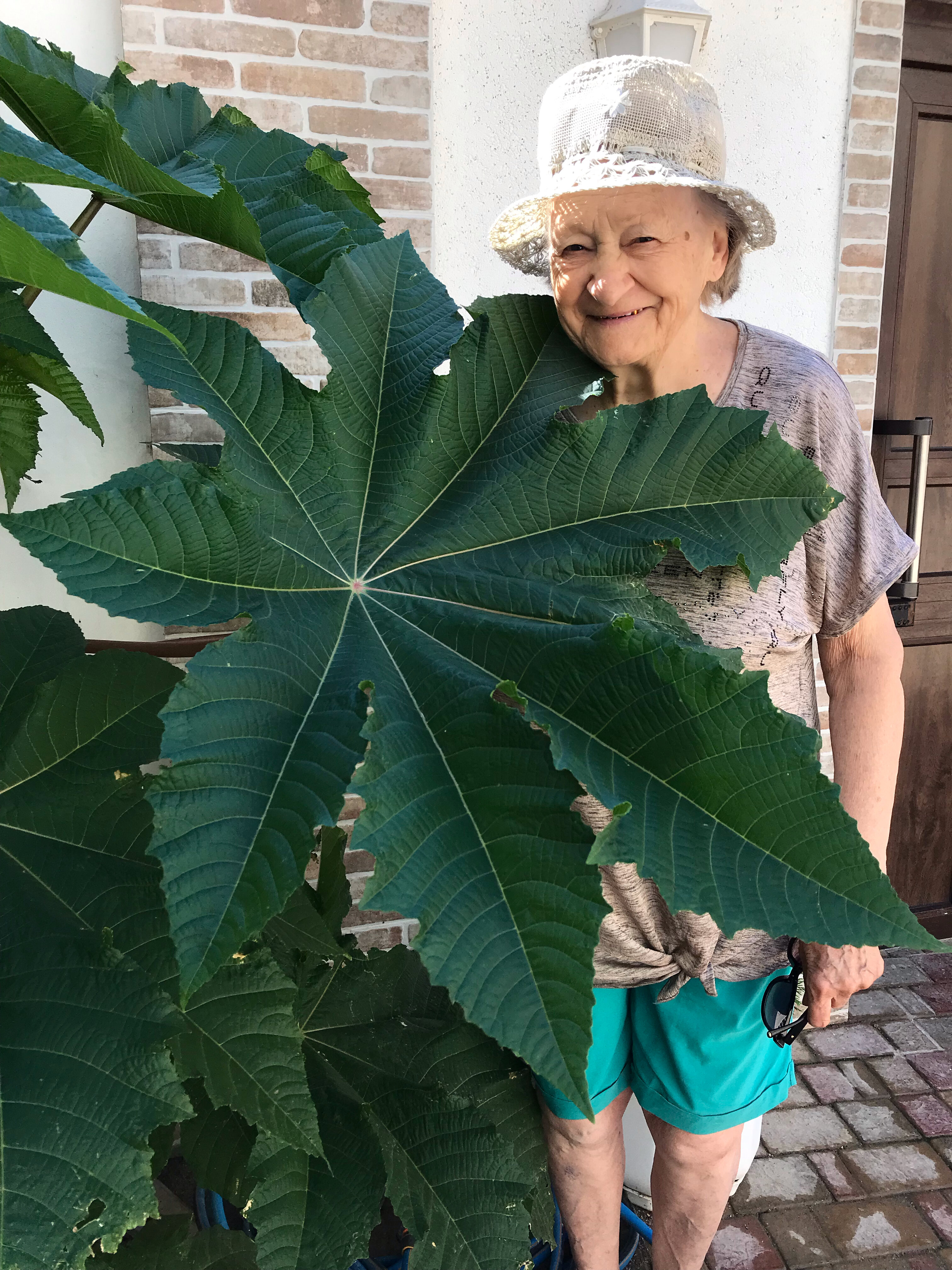 Фото Приморский