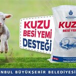 Istanbul Metropolitan Municipality Kemerburgaz Stray Animal Temporary Shelter (İstanbul, Eyüpsultan, Mimar Sinan Mah., Cendere Yolu, 66) ، مأوى للحيوانات
