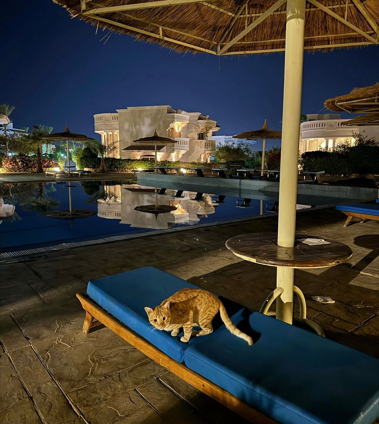 Фото Naama Bay Hotel & Resort