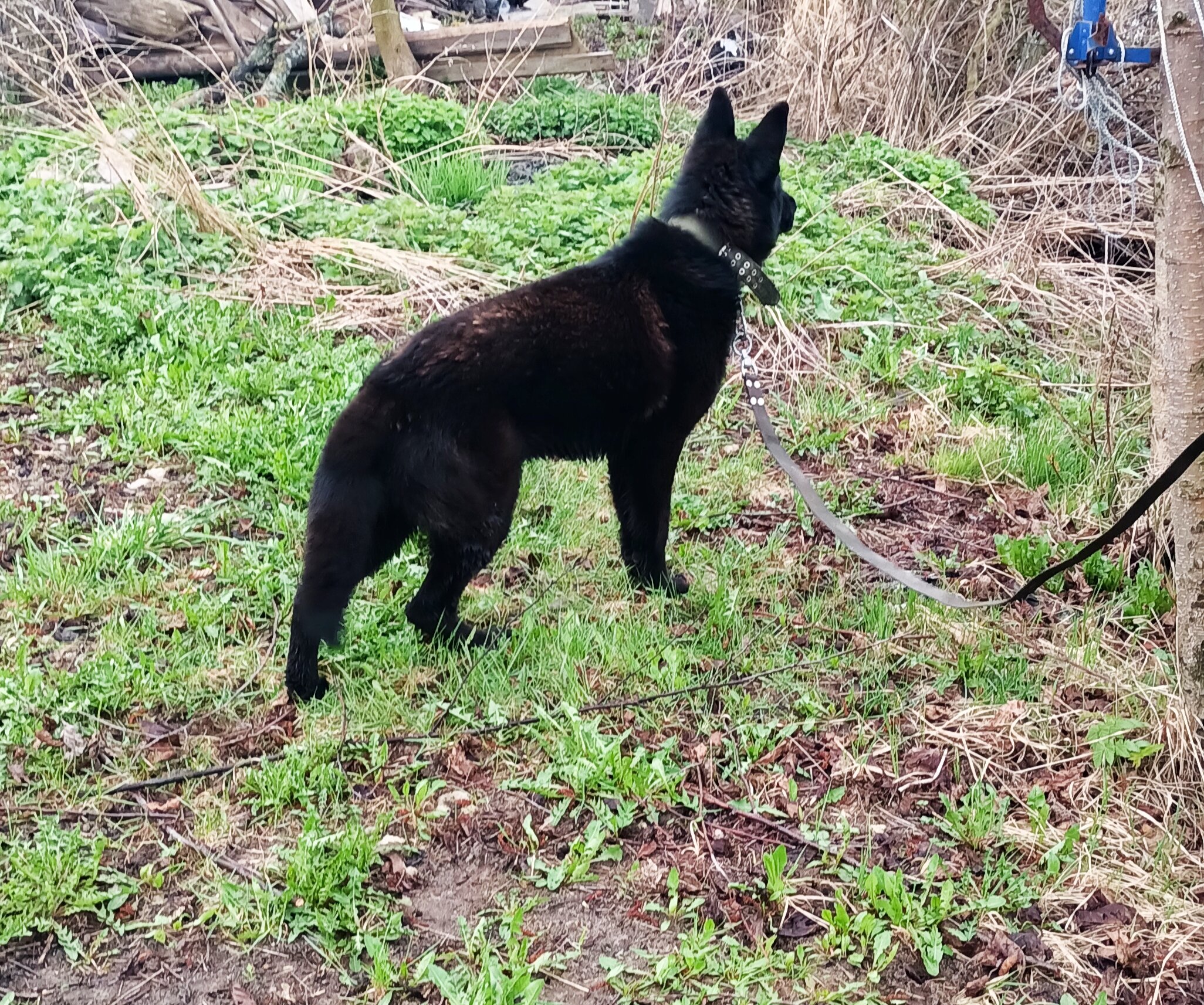 Фото Остров Аннушки