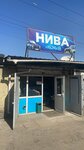 Niva 4x4 (Sain Street, 12Г), car service, auto repair