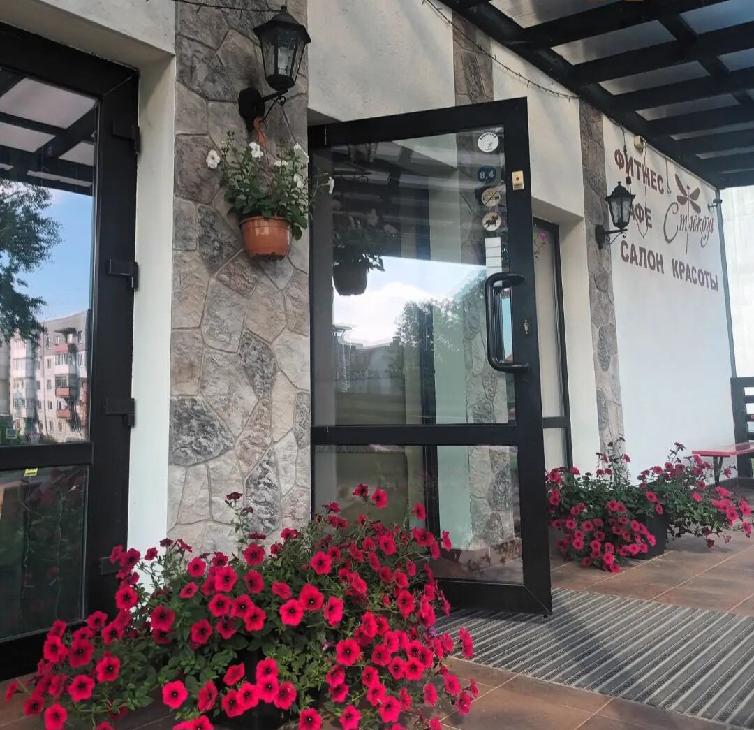 Фото Стрекоза