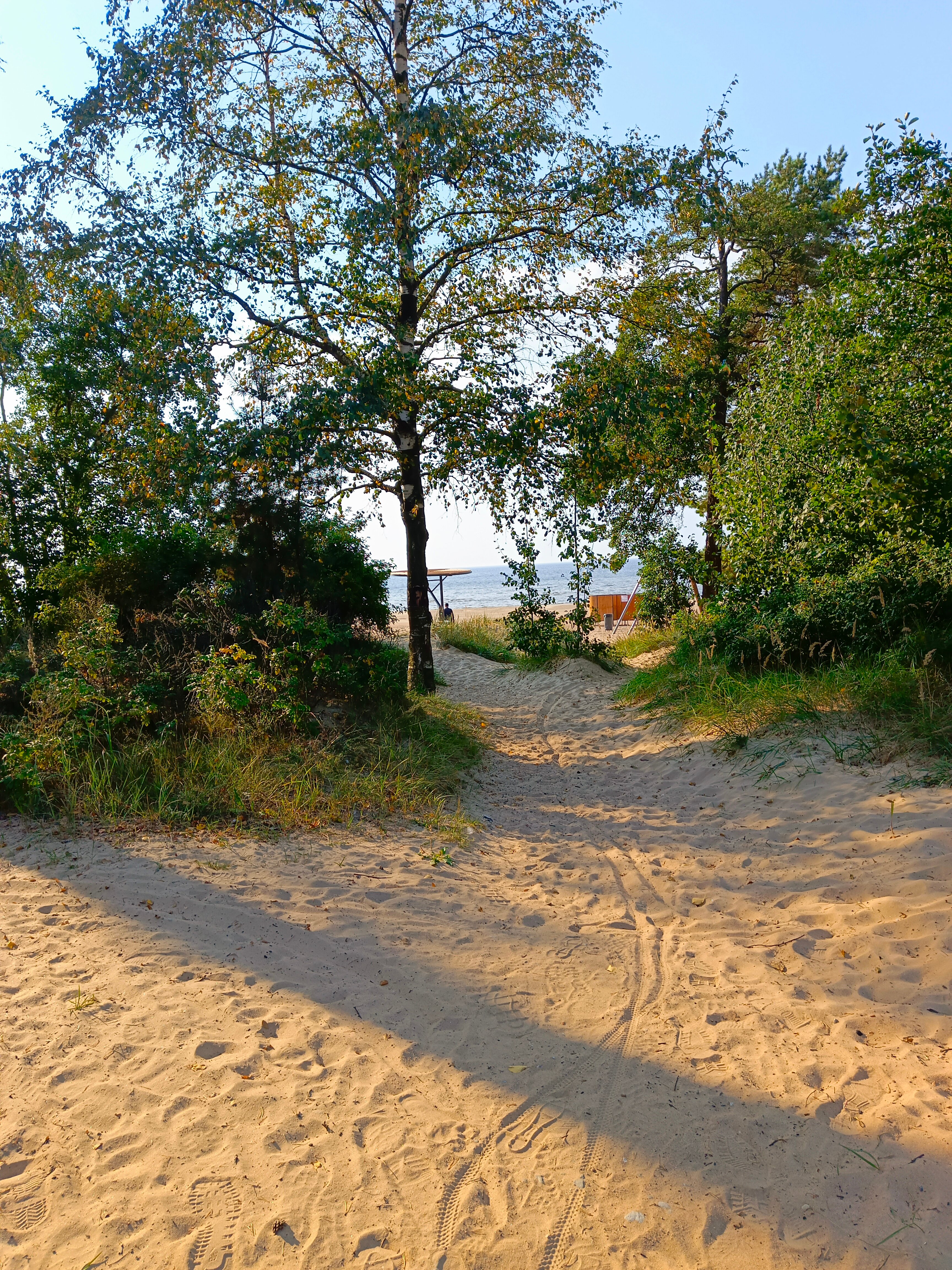 Фото Черничный Берег