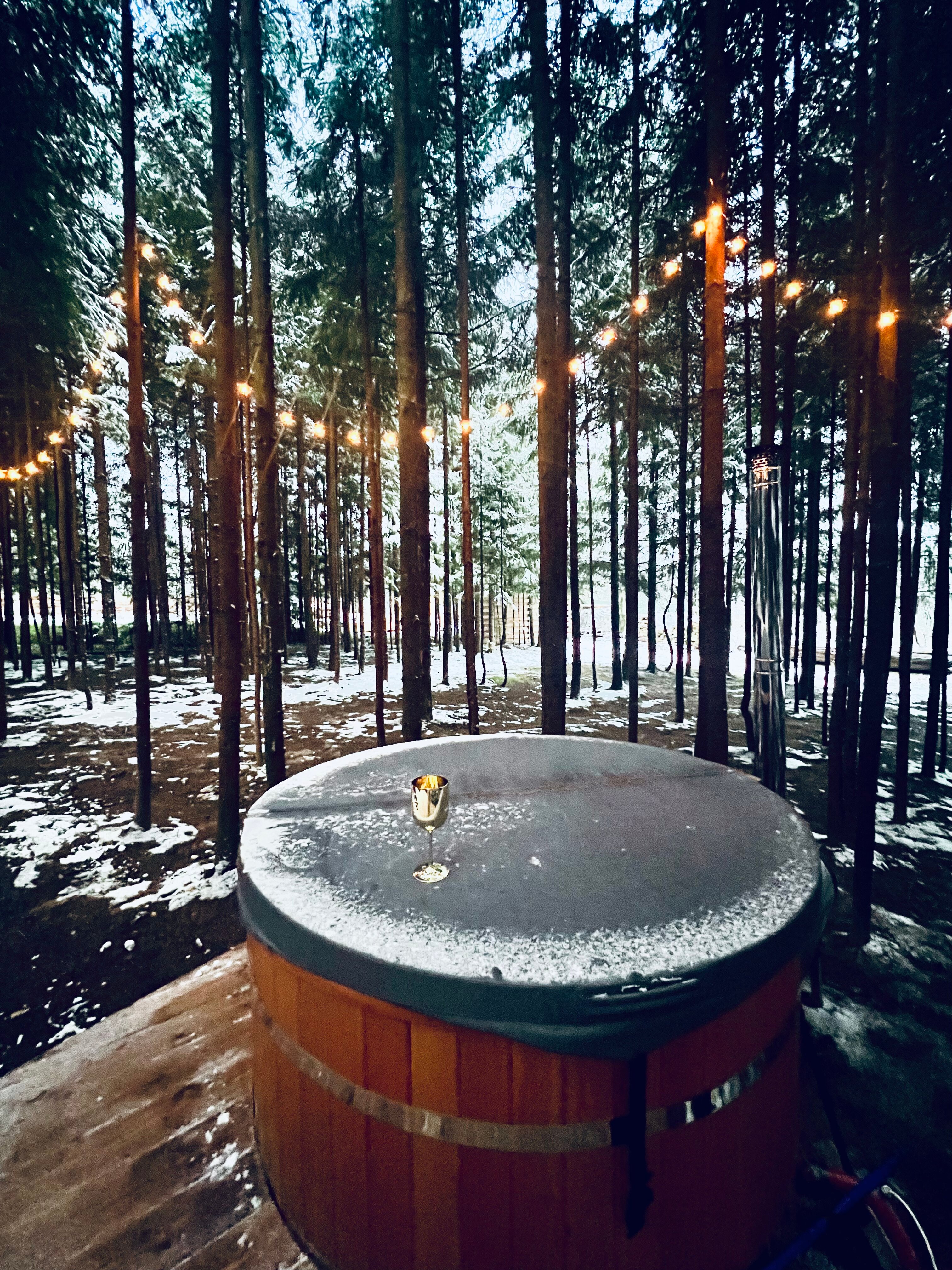 Фото Ёлкино life