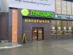 Аиша (Udmurtskaya Street, 304Н), cookery store