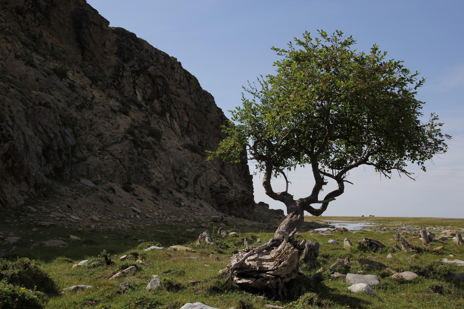 Фото Байкал-Кэмп