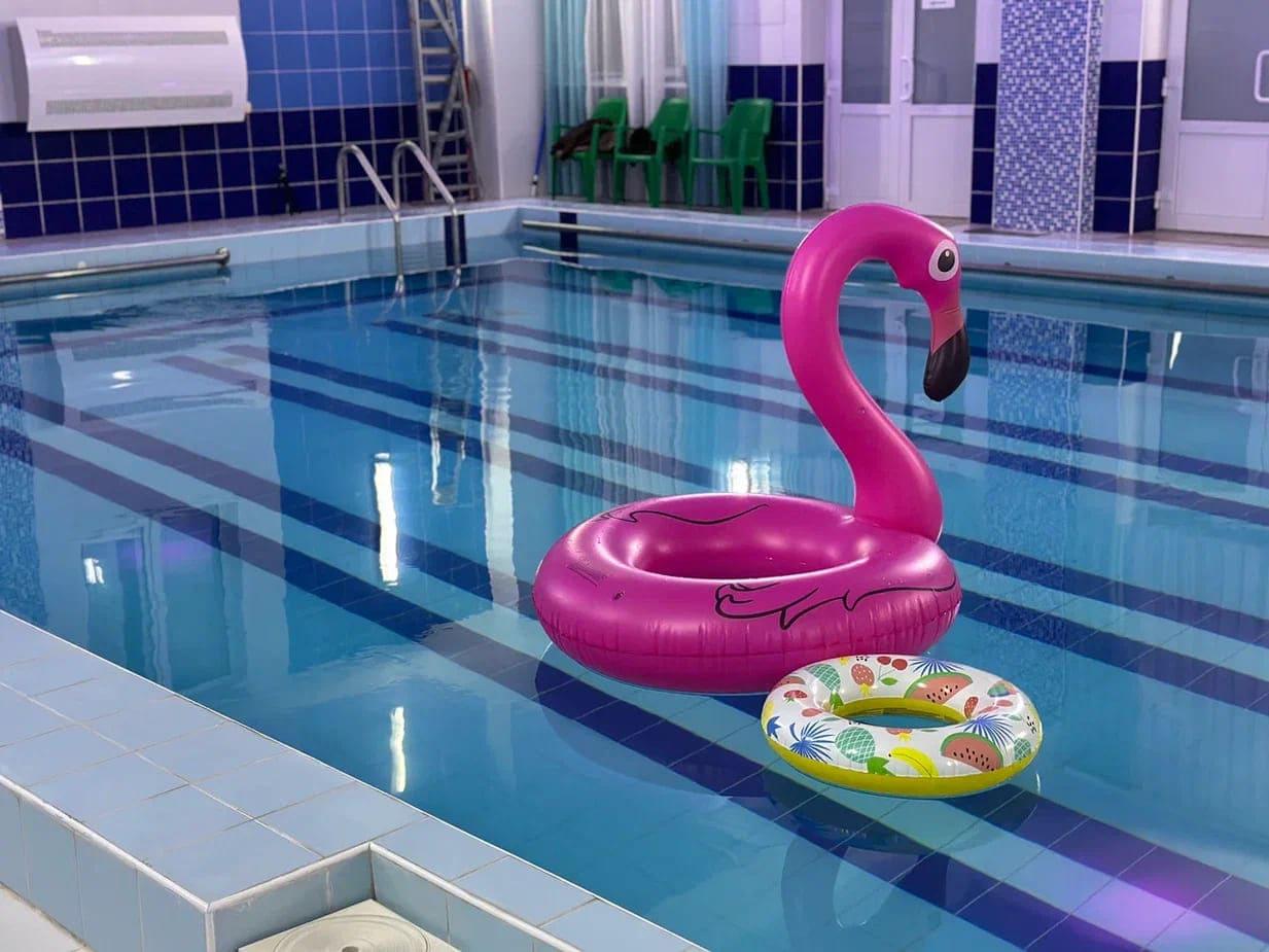 Фото Долина Алтая