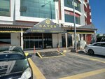 Sayer Otomotiv (Bursa, Nilüfer, Üçevler Mah., Tanay Cad., 25), car dealership