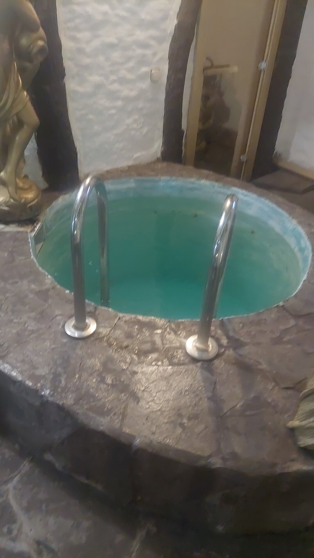 Фото Золотое крыло