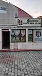 Basaksehir Aslan Spor Kulubu (Istanbul, Basaksehir, Basak Neighborhood, Kitabe Street, 13B), sports school