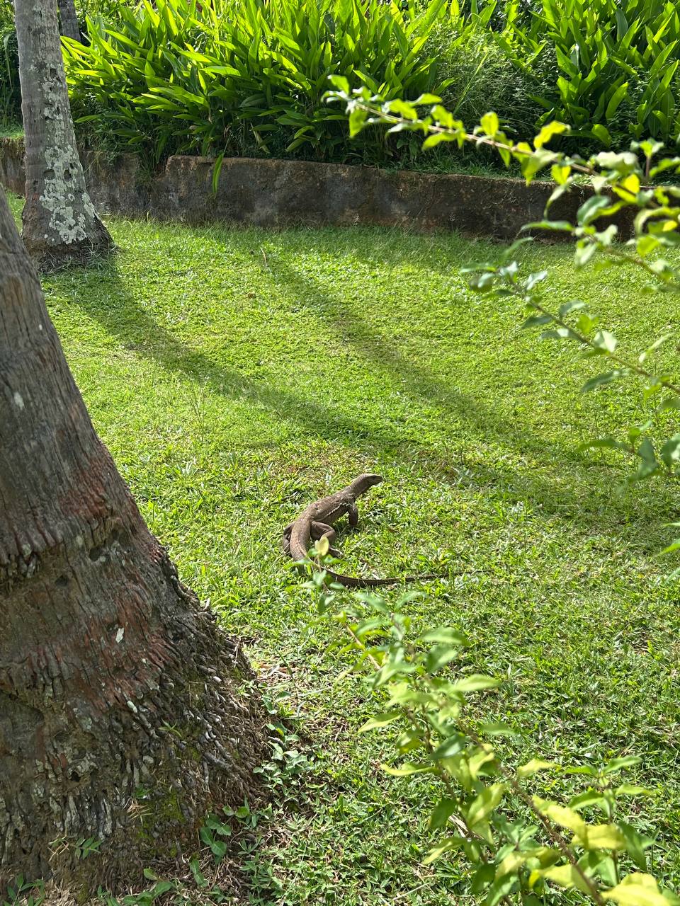 Фото Eva Lanka Hotel