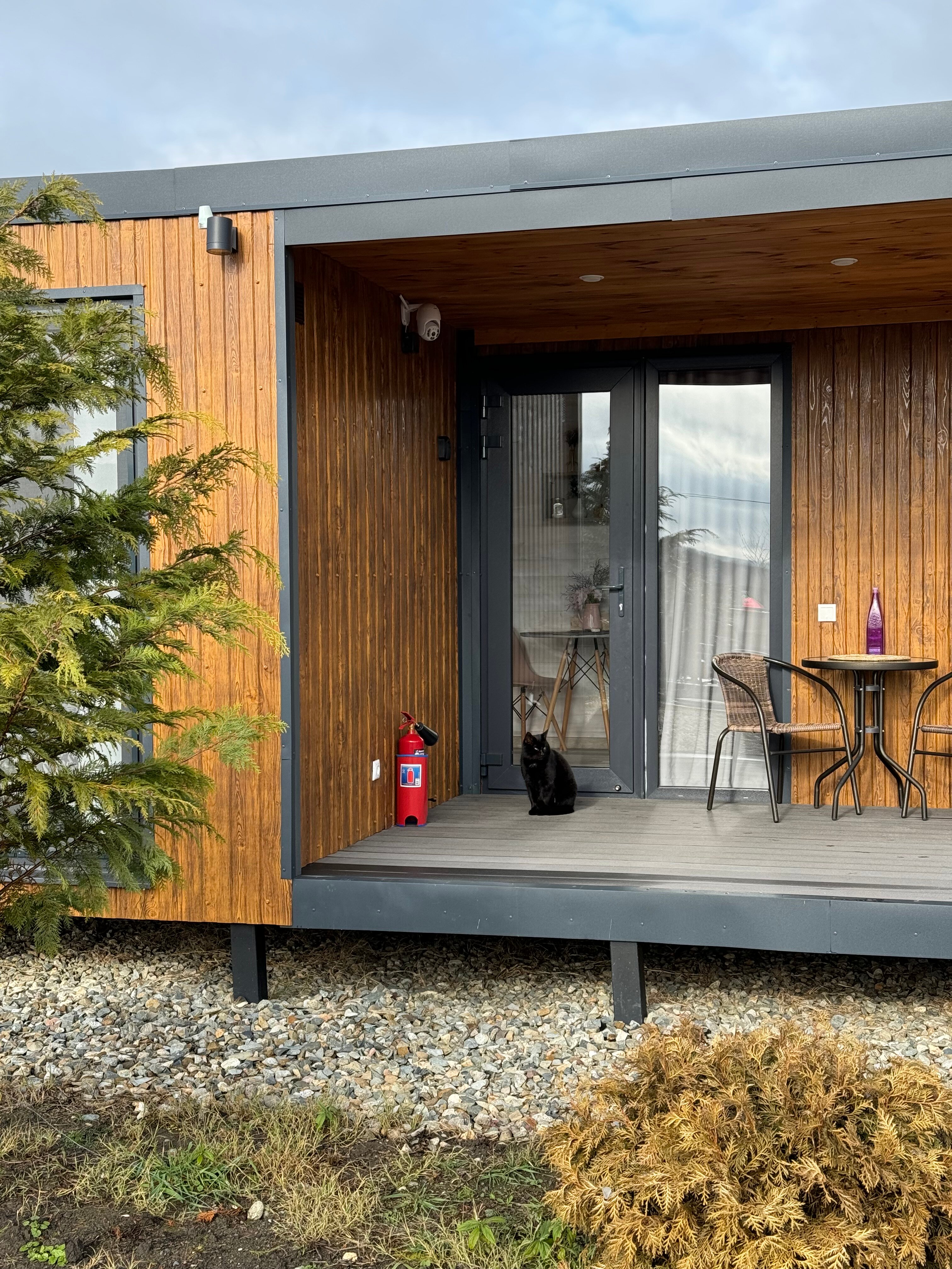 Фото Видисвет