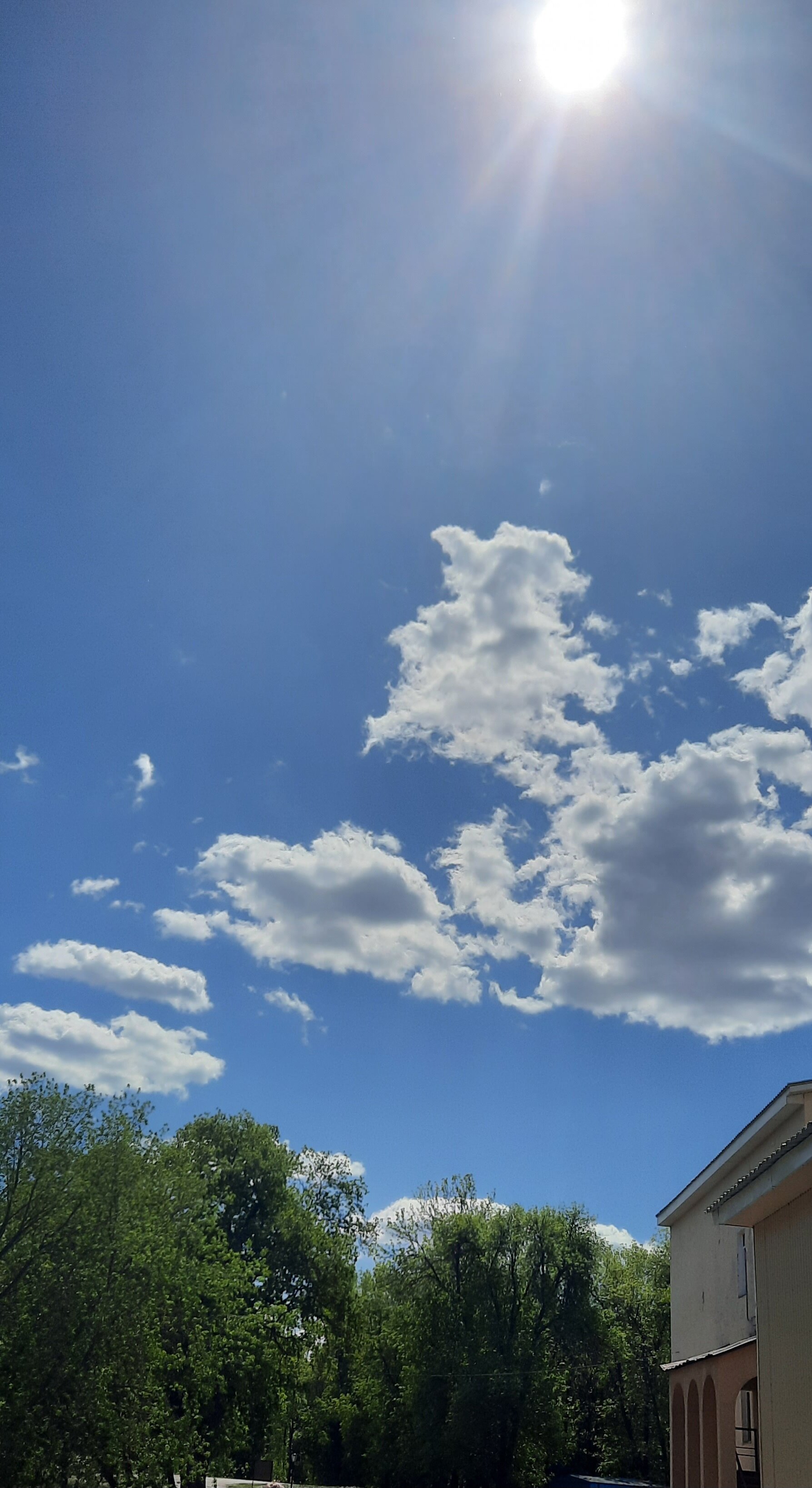 Фото Зеленая Роща