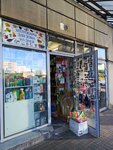Хозтовары (Veteranov Avenue, 23соор1В), household goods and chemicals shop