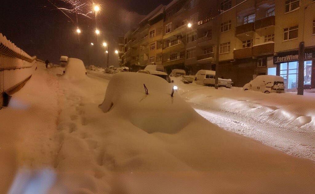 Park Urban forest, Samsun, photo
