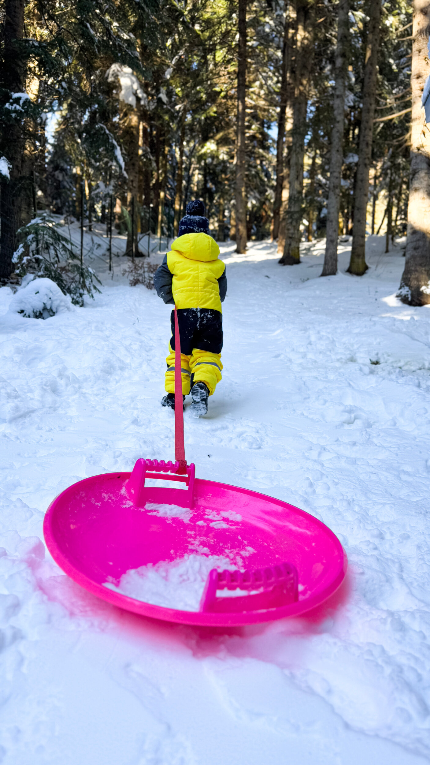 Фото Шале Пихта