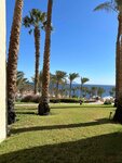 Sunny Seasons ChTUP (Surazhskaja Street, 10) ، وكالة أسفار
