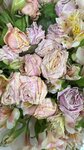 Цветы (Moscow Region, Odintsovskiy Urban District, posyolok Gorki-2), flower shop