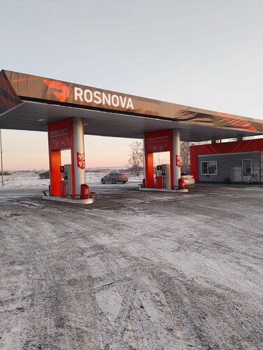 Gas station Rosnova, Novosibirsk Oblast, photo
