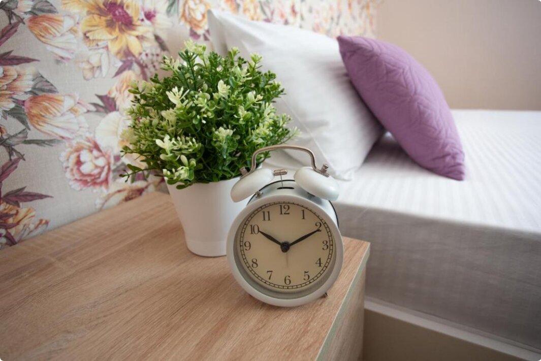 Фото Сочи Ярдъ