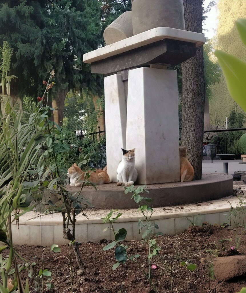 Religious organization Bediuzzaman Said Nursi R. A. Mausoleum, Sanliurfa, photo