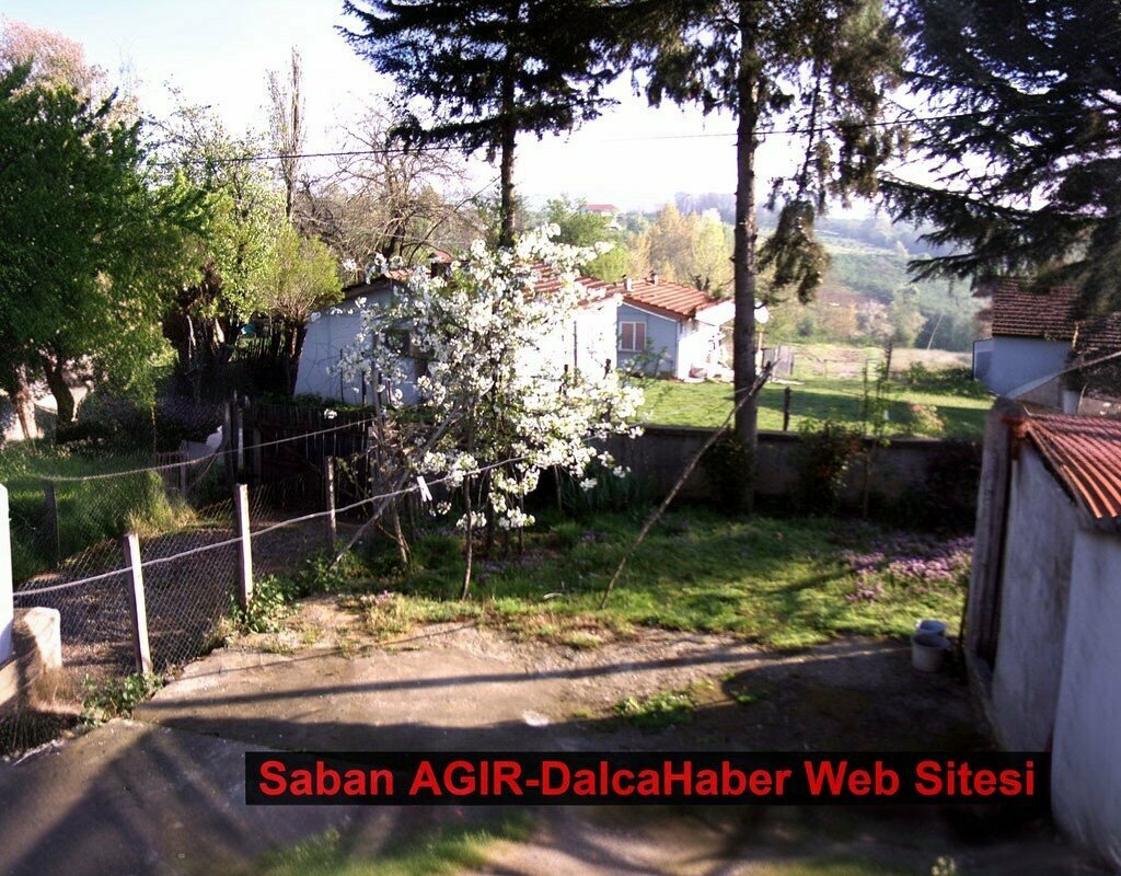 Primary school Dalca Village Primary School, Kandira, photo